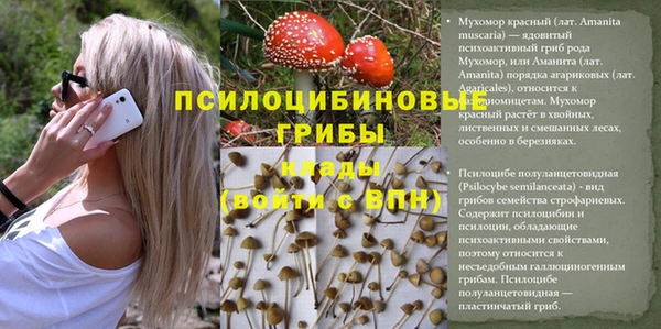 герыч Богородицк