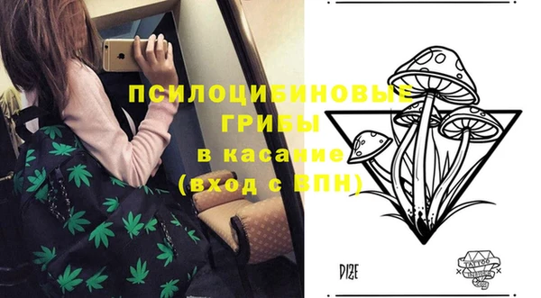 a pvp Богданович