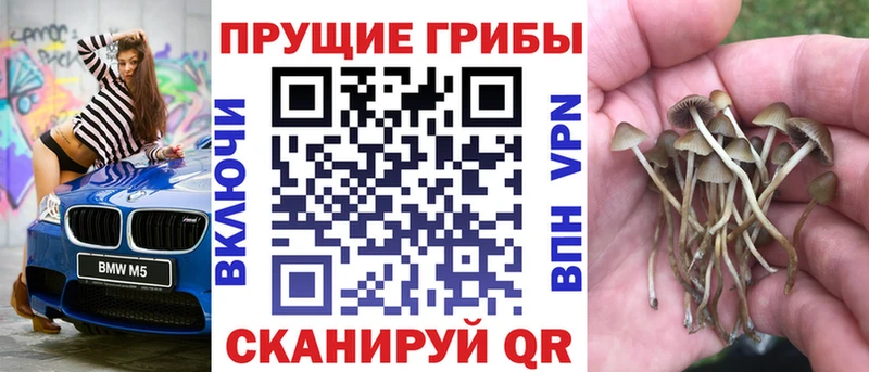 hydra как войти  Беслан  Галлюциногенные грибы Magic Shrooms 